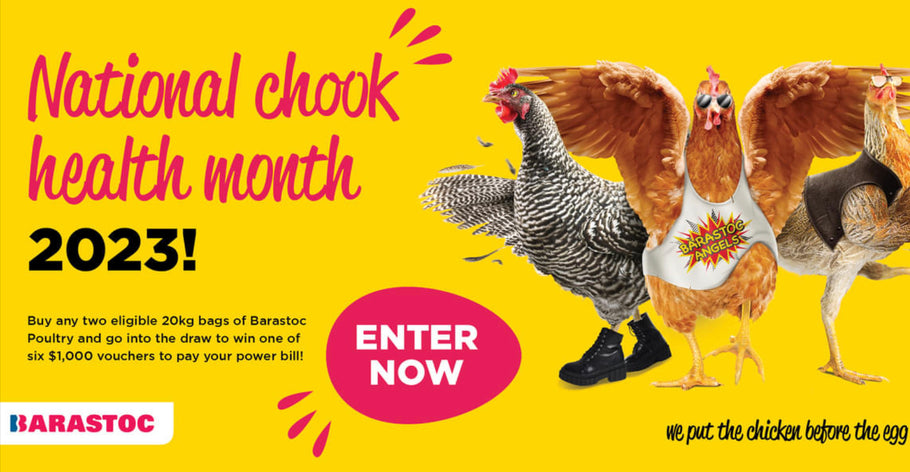 Your Chooks Paying $1000 Off Your Power Bill?