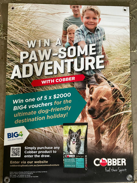 Win a $2000 BIG 4 Holiday Parks Voucher thanks to Cobber Dog Food and BIG4 Holiday Parks