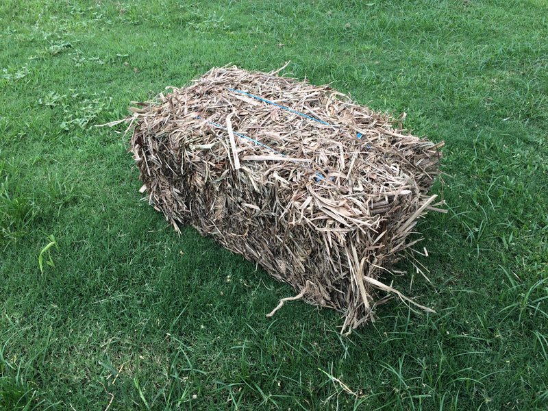 Best Place To Buy Sugar Cane Mulch Hay Square Bales In Townsville