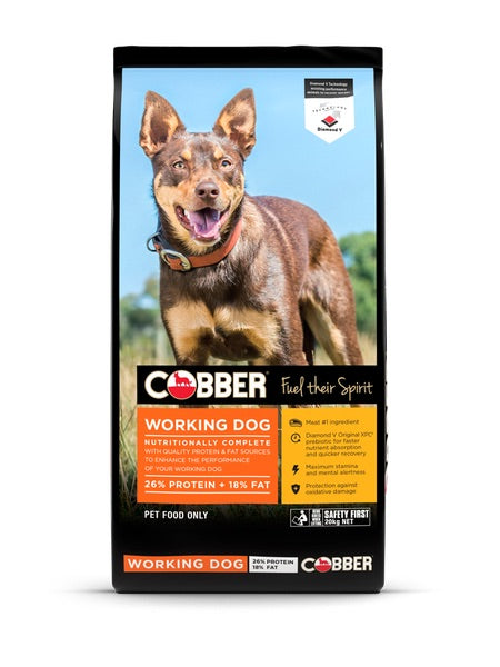 Best Place To Buy Cobber Working Dog In Townsville