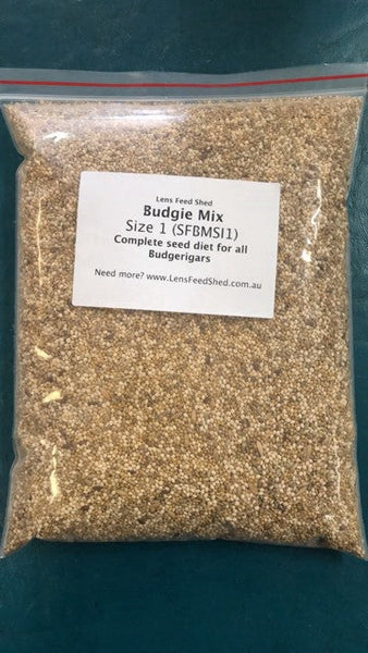 Best Place In Townsville To Buy Budgie Mix Size 1