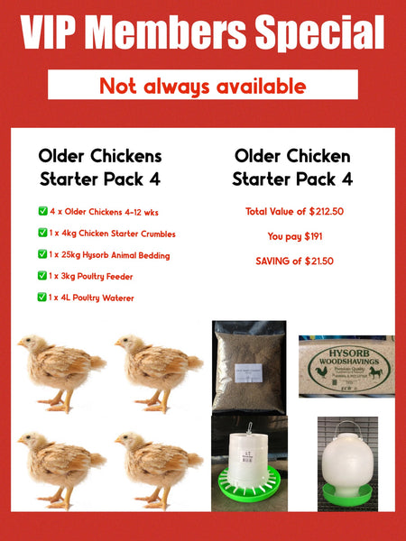 Best Place In Townsville To Buy Day Old Chicken Starter Pack 4