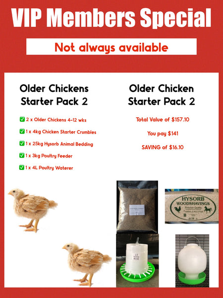 Best Place In Townsville To Buy Day Old Chicken Starter Pack 2