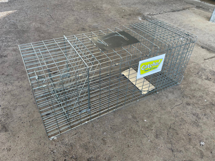 Cat And Possum Trap Hire Townsville