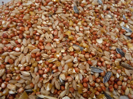 What's the difference between a Layer Mash and a Mixed Grain?