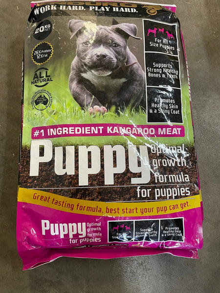 Best Place To Buy Enduro Puppy In Townsville