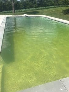 Why does my pool keep going green?
