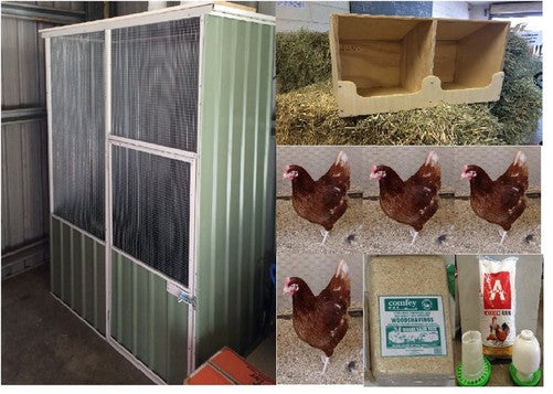 Best Place In Townsville To Buy Chook Pen Pack Colourbond Deluxe