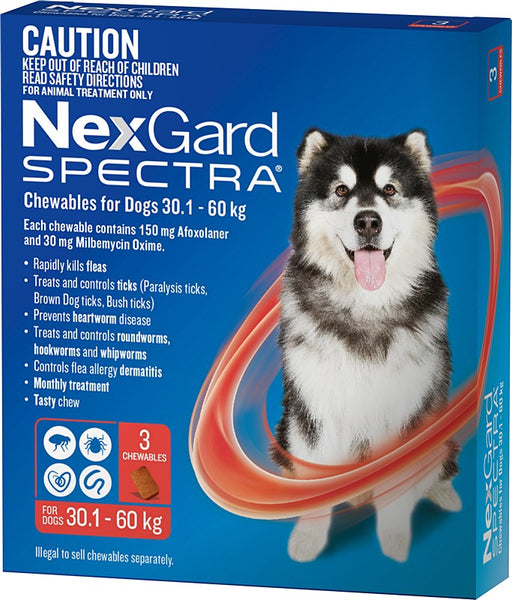 Best Place to Buy Nexgard Spectra 30-60kg 3pk in Townsville