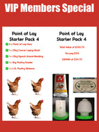 Point of Lay Starter Pack - 4pk