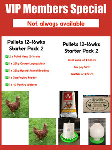 Young Pullets Starter Pack - 2pk