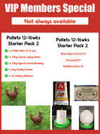 Young Pullets Starter Pack - 2pk