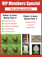 Young Pullet Starter Pack - 4pk
