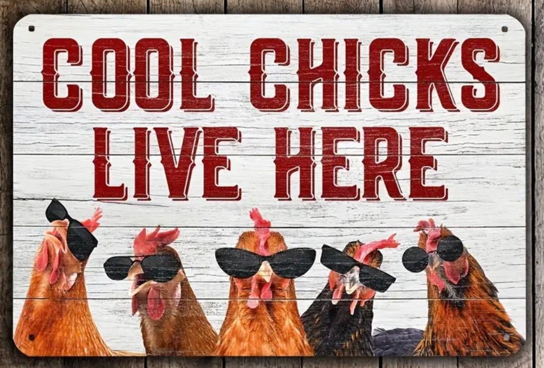 Chicken Sign - Cool Chicks Live Here