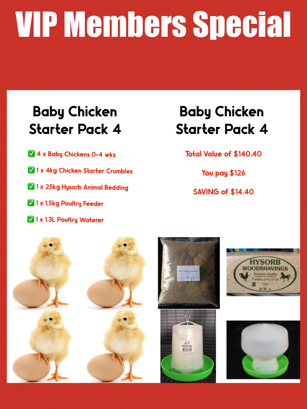 Day Old Chicken Starter Pack 4