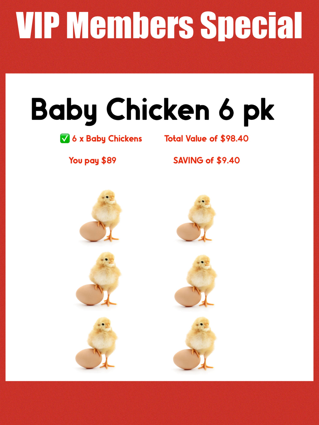 Day Old Com Chicks mix 6pk