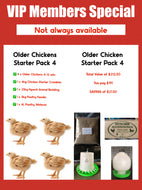 Four Week Old Starter Pack - 4pk
