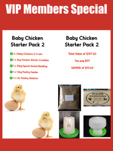 Day Old Chicken Starter Pack 2