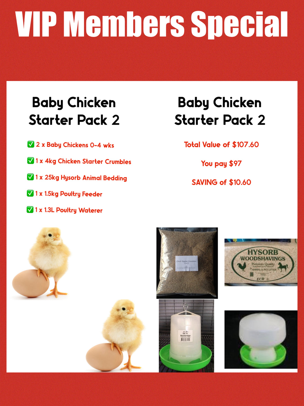 Day Old Chicken Starter Pack 2