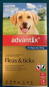 Advantix XL Dog >25kg 6 pack