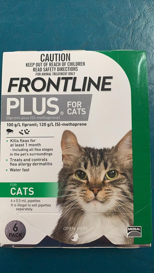 Frontline Cats 6pk