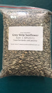 Greystripe Sunflower Size 1