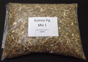 Guinea Pig Size 1