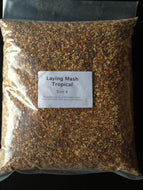 Laying Mash Tropical Size 4