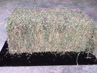 Lucerne Bale Prime