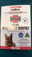 St Bernards Large Heartworm